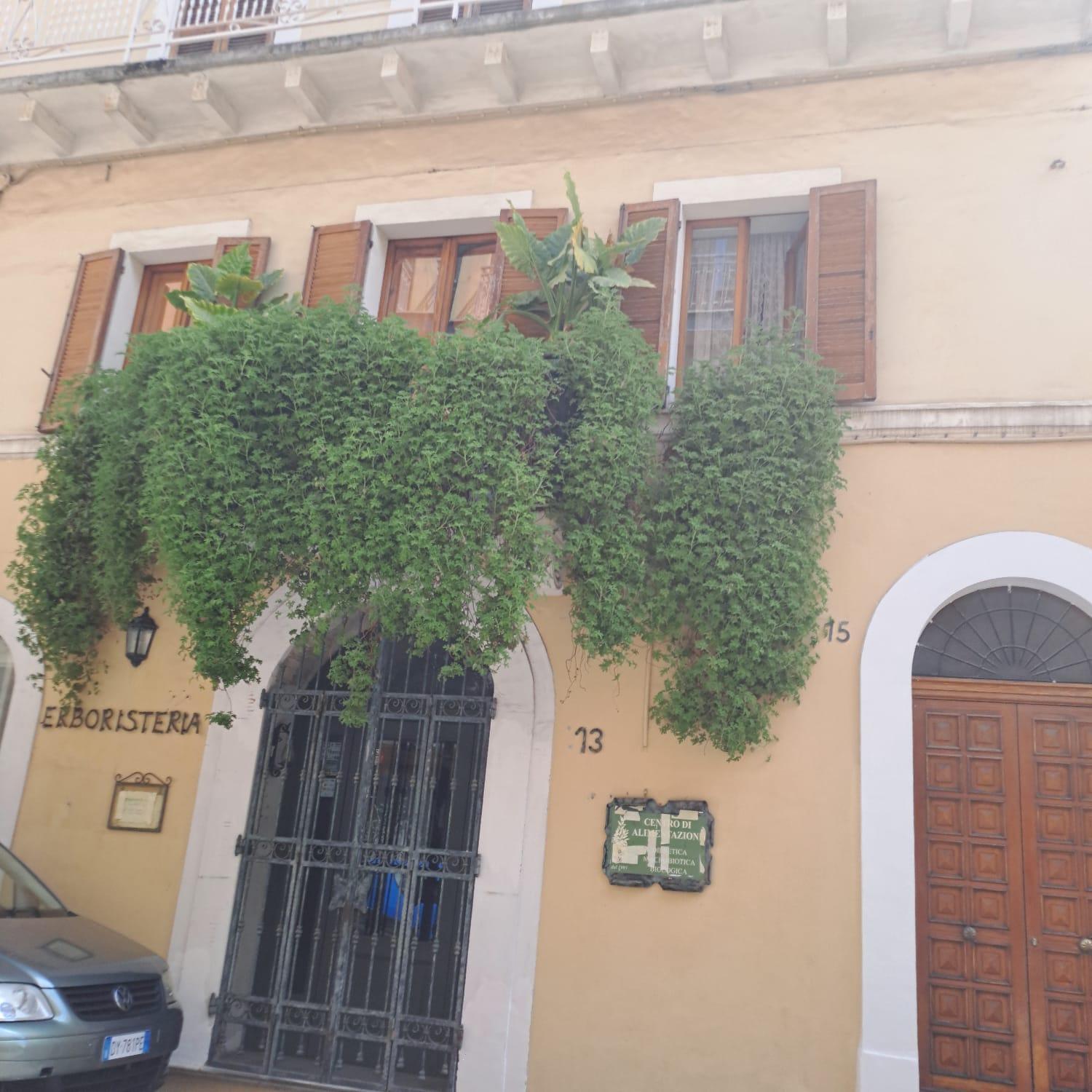 Domus Teate - Chieti Lägenhet Exteriör bild